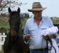 Stellarpark Rockstar Hardrock Australian stock horses for sale breeders