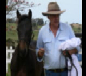 Stellarpark Rockstar Hardrock Australian stock horses for sale breeders
